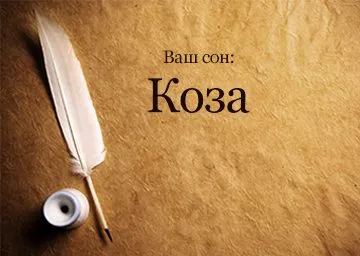 Тълкуване на сънища козе какво мечтае бяла коза с рога жена сънува