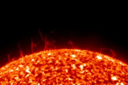 описание Sun, структура, функции (снимка)