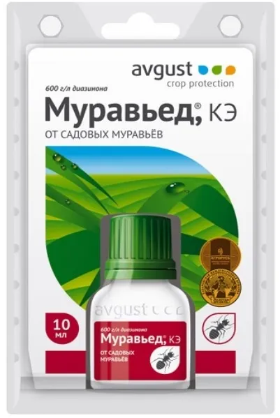 Remedy за мравки описание мравояд и инструкции за употреба