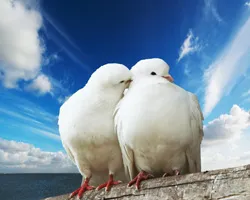 стъпка 11