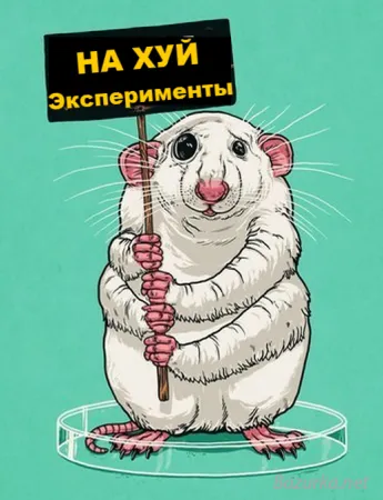 Thalidomide факти - легендарният портала, факти и хумор