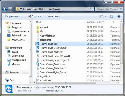 TeamViewer какво тази програма е и дали е необходимо