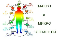 Тествайте как се покажат тялото си за дисбаланси и макроелементи за тялото на