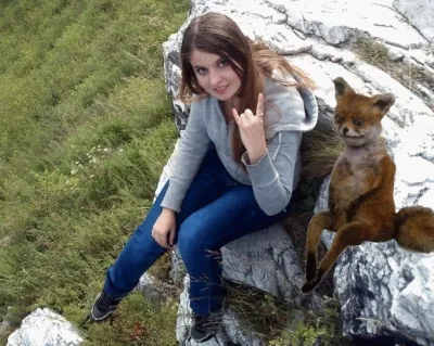 Uporotyh лисици - което означава, че този мем защо препарирана лисица е толкова популярен