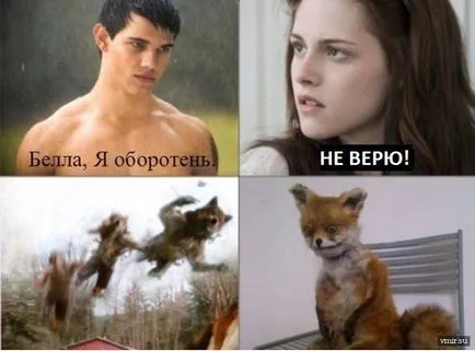 Uporotyh лисици, откъде е дошло