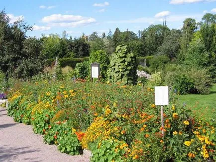 Uppsala, Енциклопедия