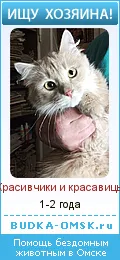 Грижа за риболовни мрежи
