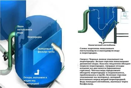 RAS и aquaponics собствените си ръце