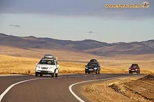 Изборът на масло