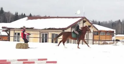 Видове конен спорт списък и описание на моите коне