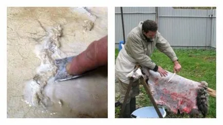 Дъбени кожи от овце у дома трябва да знаете