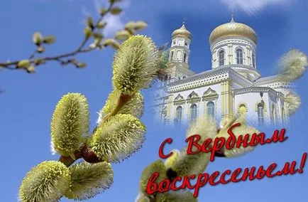 Цветница 2017 - какво да правим с миналата година върба - какво да не правим в Палм