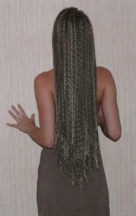видове afrokosichek