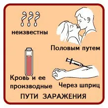Хепатит В и С вируси