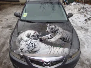 Винилови стикери на автомобили - снимки и видео на производството и лепене