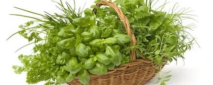 Витамин В2 (рибофлавин) роля в тялото, в които продуктът съдържа дневната норма