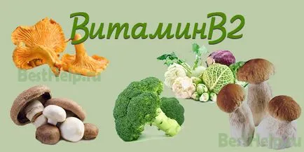 Витамин В2 (рибофлавин) - какво е това, което е необходимо, за въздействието на дефицита