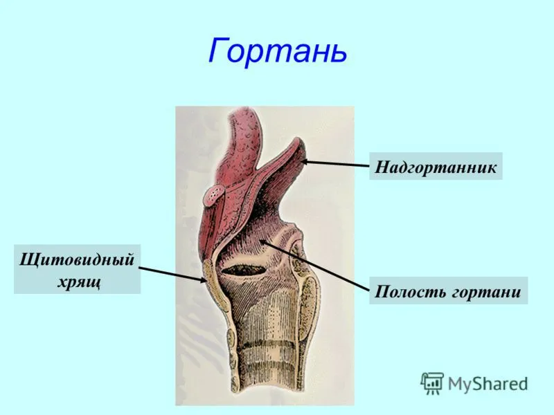 Възпаление с нагнояване