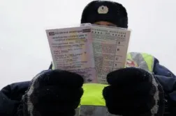 Hogyan ellenőrizhetem alapján a forgalmi jogok