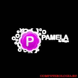 Pamela a Skype is Pamela a Skype is