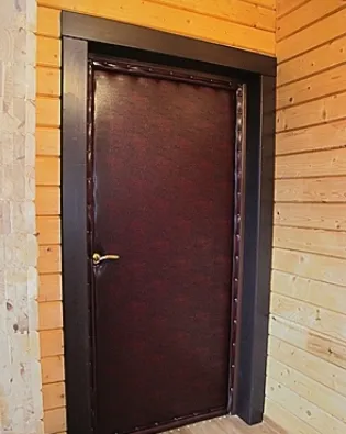 Входни врати за частни домове - особено избора, видове и възможности за фото