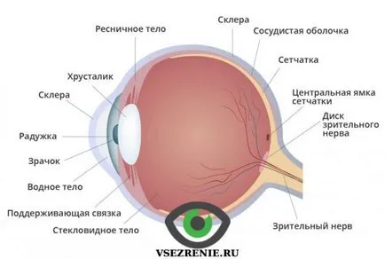 Информация за зрението