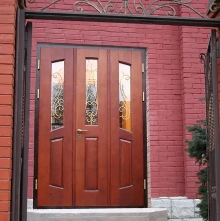 Входни врати за частни домове - особено избора, видове и възможности за фото