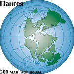 Защо развалят монетата, отговорите на въпроси (монети) Защо развалят монетата, отговори на въпроси