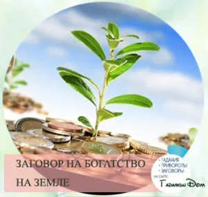 Парцели за успех и пари като за четене вкъщи