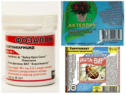 Ябълков описание и методи за борба с молец