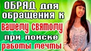 Парцел за това как да намерите изгубени домашни любимци