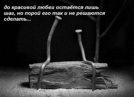 Цитати за любовта и брака