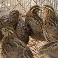 Как да създадете бизнес без начален капитал