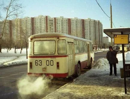 Какво е лиаза