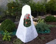 Агротехника расте чесън Агротехника расте чесън