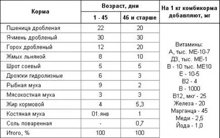 Какво да се хранят пилетата първите дни от живота