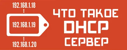 Dncp го