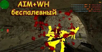 Как да се даде възможност на ПАМ за CS