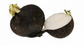 Milyen hasznos bogáncs