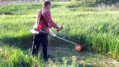 Hogyan válasszuk ki a trimmer vélemények Hogyan válasszuk ki a trimmer vélemények