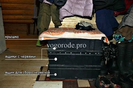 Hogyan szaporodnak a hazai férgek