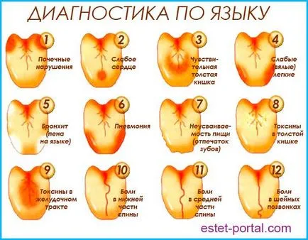 Езикът е отговорен за това,