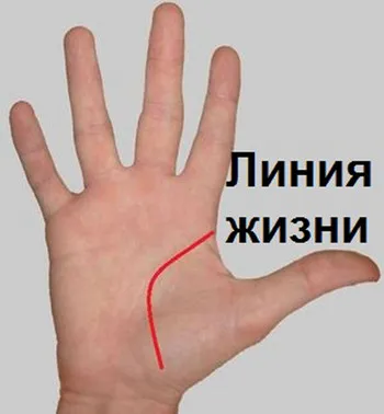 Отгатване на длан