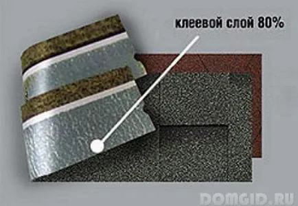Херпес зостер от това, което