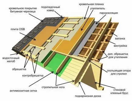 Херпес зостер от това, което