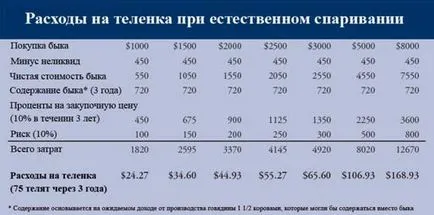 Както оплодена крава Както оплодена крава