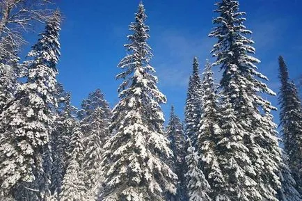Как да стигнем до Твер
