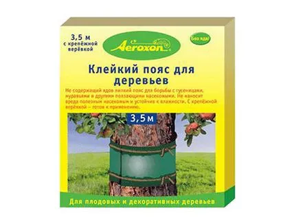 Хоботник как да се бори