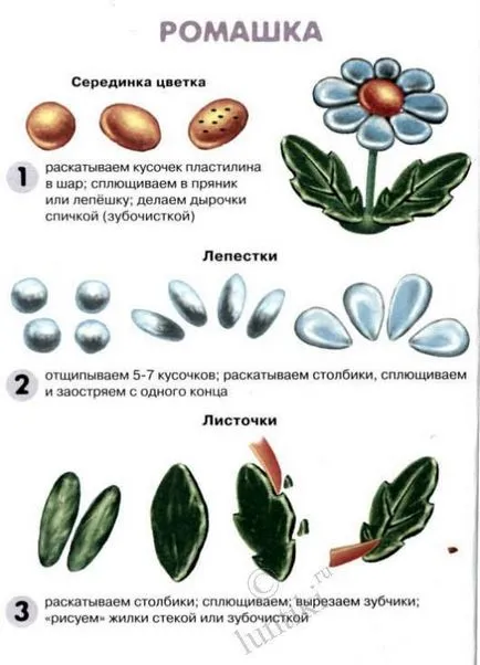 Как са цветята Как са цветята