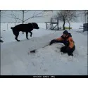 Какво трябва да направя, ако хленчове за кученца